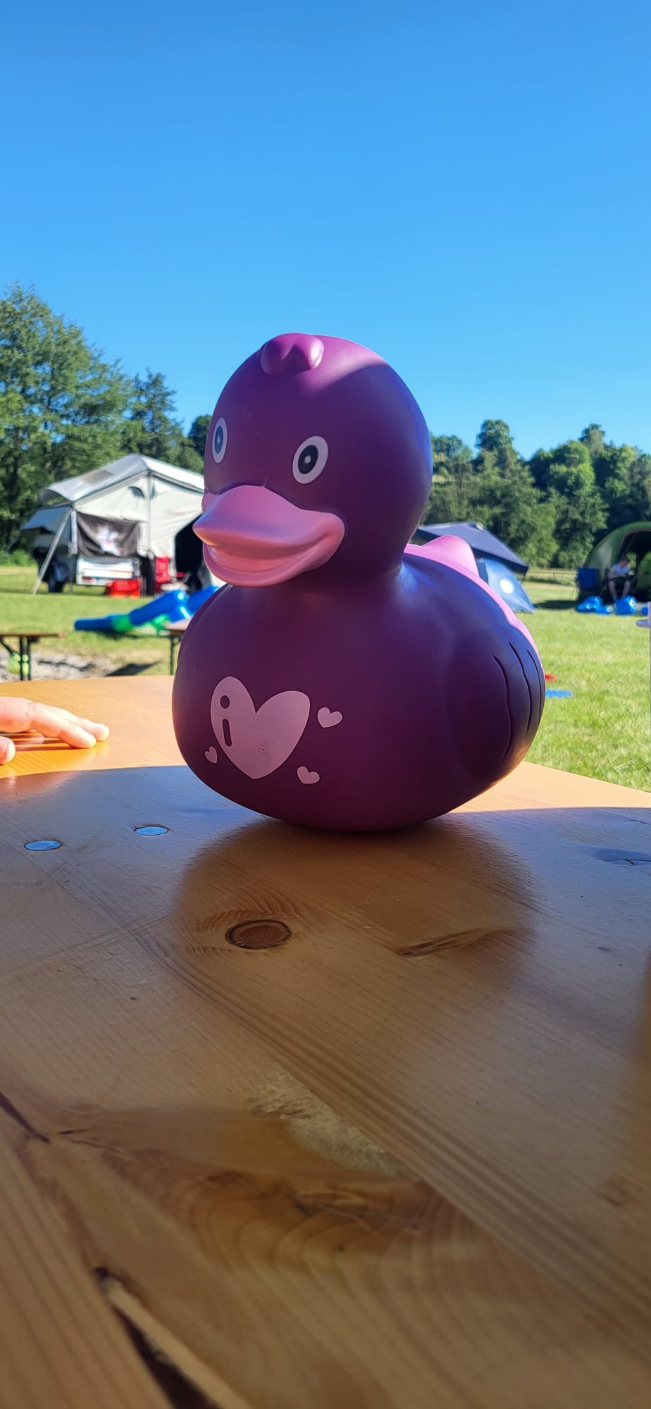 Vergrößerbares Bild